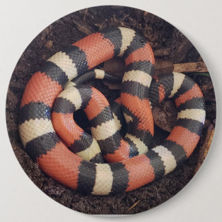 Badge Rond 15,2 Cm Serpent de lait de Pueblan