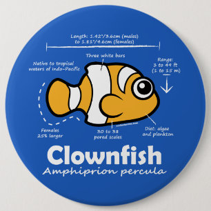 Badge Rond 15,2 Cm Statistiques de Clownfish