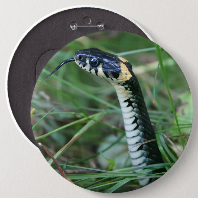 Badge Rond 15,2 Cm Tête de serpent (Devant & derrière)