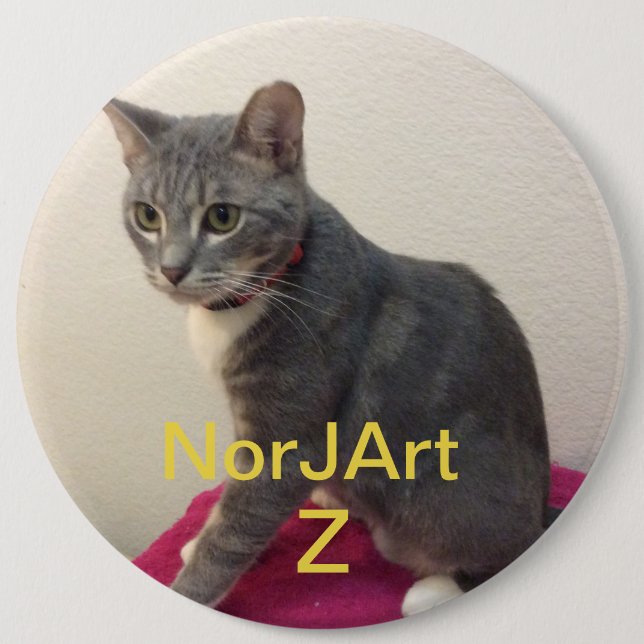 Badge Rond 15,2 Cm Toto le chat (Devant)