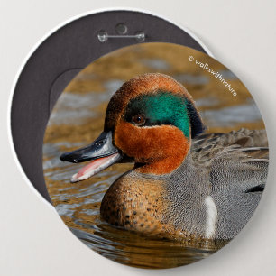 Badge Rond 15,2 Cm Un canard Turquoise à ailes vertes chatté à l'étan