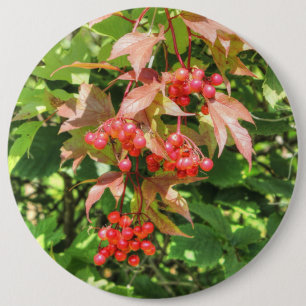 Badge Rond 15,2 Cm Viornes à feuilles d'aulne