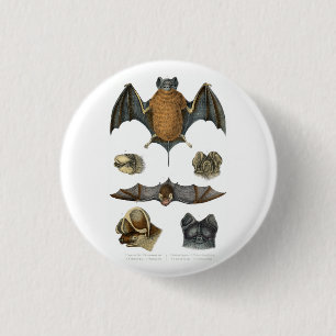 Badge Rond 2,50 Cm 19e impression de chaume C.