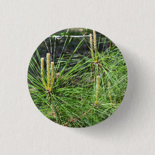 Badge Rond 2,50 Cm Aiguilles de pin par Kenneth Yoncich