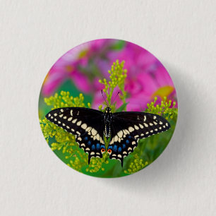 Badge Rond 2,50 Cm Atterrissage à queue nue