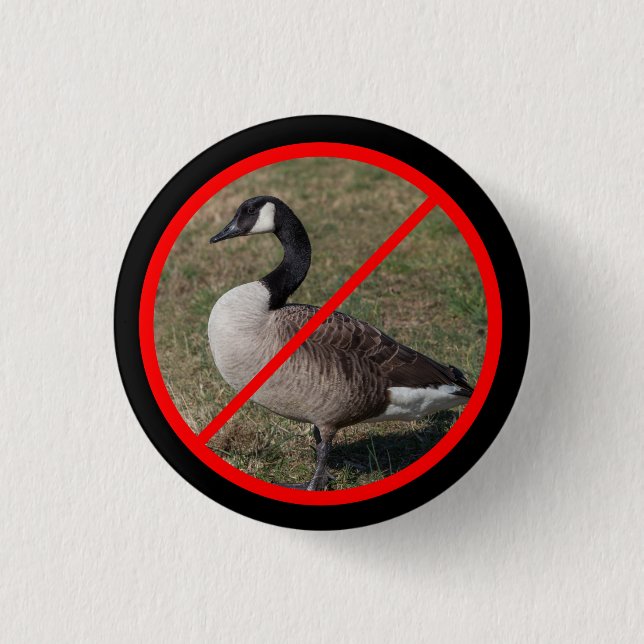 Badge Rond 2,50 Cm Aucune oie autorisée (Devant)