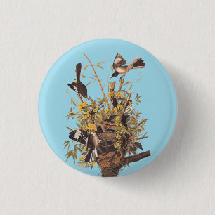Badge Rond 2,50 Cm Audubon's Mockingbirds vs Rattlesnake