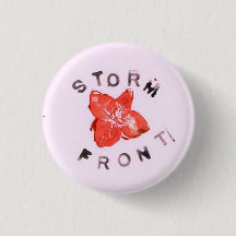 Avant rose de tempête