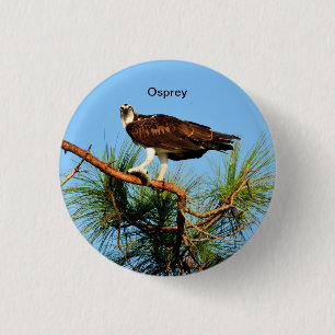 Badge Rond 2,50 Cm Balbuzard dans le sauvage