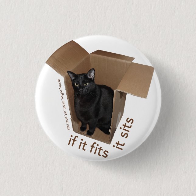 Badge Rond 2,50 Cm Batcat : Il l'adapte repose le bouton (Devant)