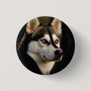 Badge Rond 2,50 Cm Beau Oreiller Husky Lrow