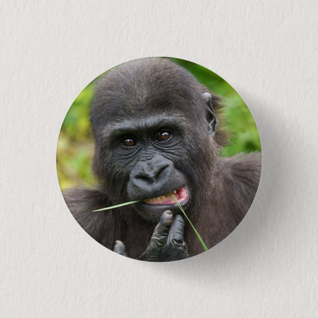 Badge Rond 2,50 Cm Bébé Gorilla Cuteness (Devant)