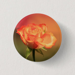 Badge Rond 2,50 Cm Belle photo de Rose romantique