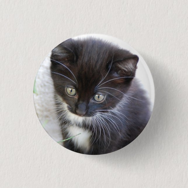 Badge Rond 2,50 Cm Black and White Kitten Photo (Devant)