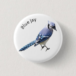 Badge Rond 2,50 Cm Blue Jay