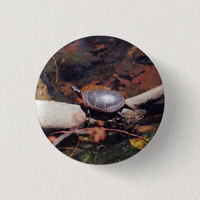 Badge Rond 2,50 Cm Bonne tortue (Devant)