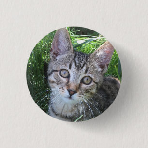 Badge Rond 2,50 Cm Bouton de chat Tabby gris