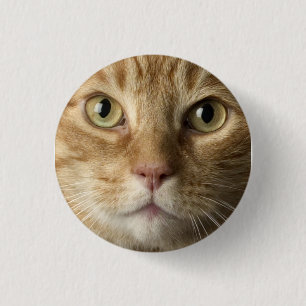 Badge Rond 2,50 Cm Bouton de Kitty