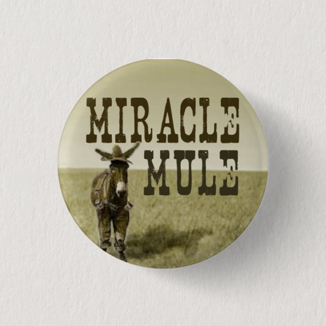 Badge Rond 2,50 Cm Bouton de mule de miracle (Devant)
