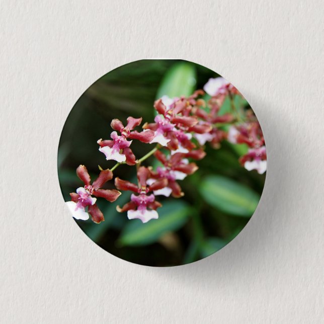 Badge Rond 2,50 Cm Bouton d'Oncidium de bébé de Sharry (Devant)