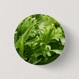 Badge Rond 2,50 Cm Bouton en queue de poisson de fougère