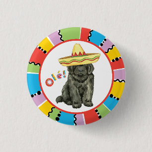Badge Rond 2,50 Cm Bouton Fiesta Newfoundland