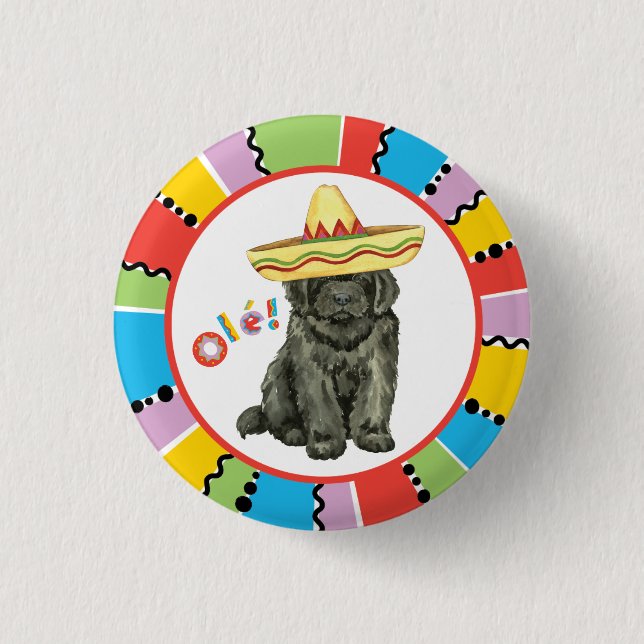 Badge Rond 2,50 Cm Bouton Fiesta Newfoundland (Devant)