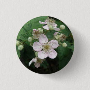 Badge Rond 2,50 Cm Bouton Fleurs Blackberry
