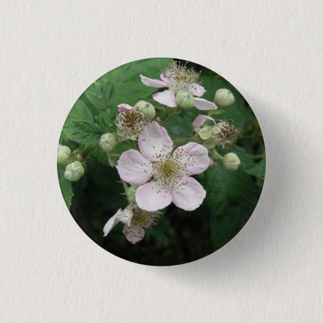 Badge Rond 2,50 Cm Bouton Fleurs Blackberry (Devant)