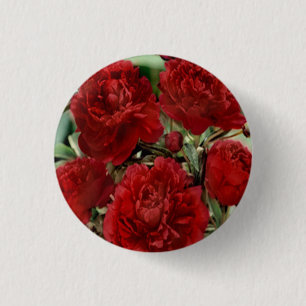 Badge Rond 2,50 Cm Bouton Fleurs de carnation rouge