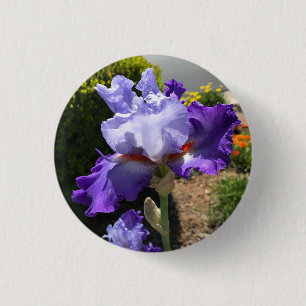 Badge Rond 2,50 Cm Bouton Iris à fond violet
