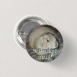 Badge Rond 2,50 Cm Bouton Jour de la marmotte