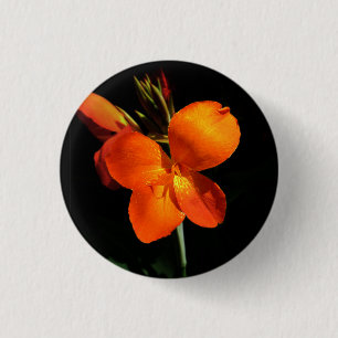 Badge Rond 2,50 Cm Bouton Orchidée éblouissant