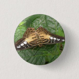 Badge Rond 2,50 Cm Bouton Papillon Pretty Tropical Clipper