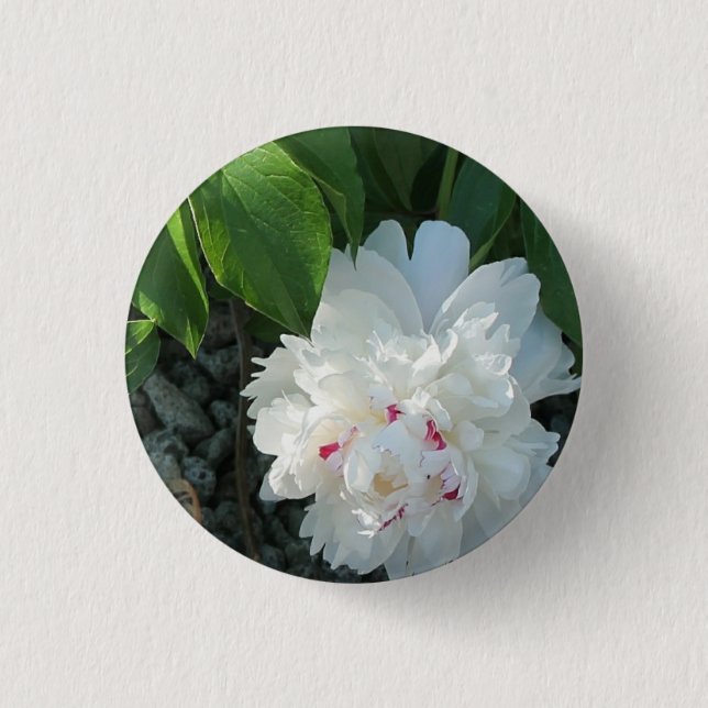 Badge Rond 2,50 Cm Bouton Peony précieux (Devant)