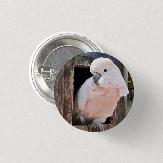 Badge Rond 2,50 Cm Bouton Pinback Cockatoo Moluccan (Devant & derrière)