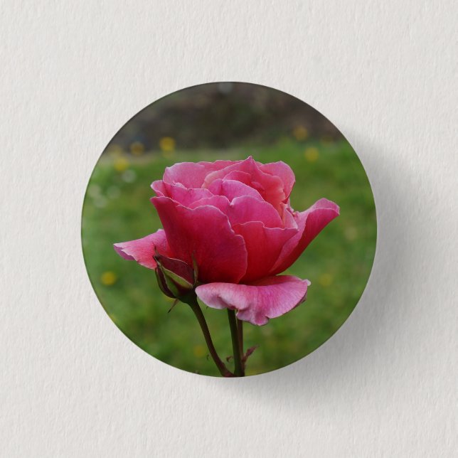 Badge Rond 2,50 Cm Bouton Pinback du Rose Duet n° 1 (Devant)