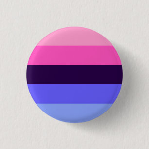 Badge Rond 2,50 Cm Bouton Pride omnisexuel