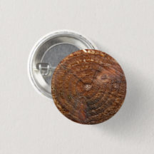Bouton rond avec motif en bois. Arbre de section t