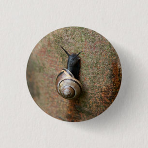 Badge Rond 2,50 Cm Bouton rond d'escargot