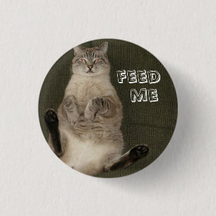 Badge Rond 2,50 Cm Bouton rond du chat "FEED ME"
