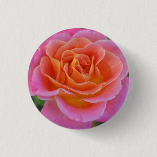 Badge Rond 2,50 Cm Bouton Rose rose et orange