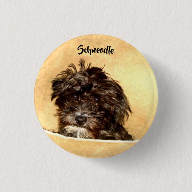 Badge Rond 2,50 Cm Bouton Schnoodle Chien (Devant)