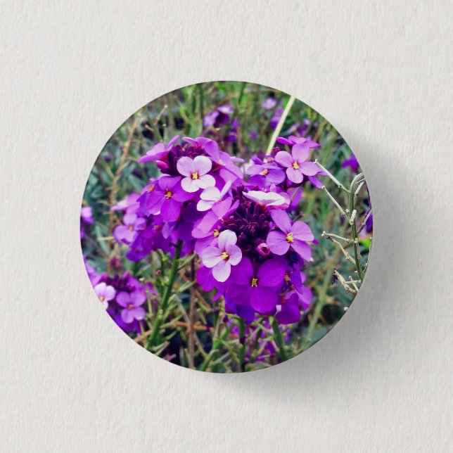 Badge Rond 2,50 Cm Bouton Wallflower Bowles Mauve #1 (Devant)