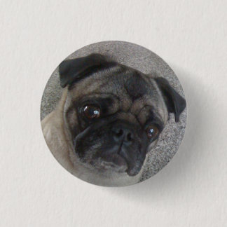 Badge Rond 2,50 Cm boutons de carlin