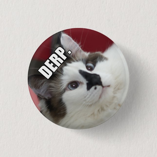 Badge Rond 2,50 Cm Boutons de chat de Derp (Devant)