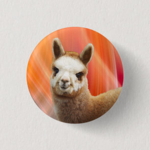 Badge Rond 2,50 Cm Boutons mignons d'alpaga