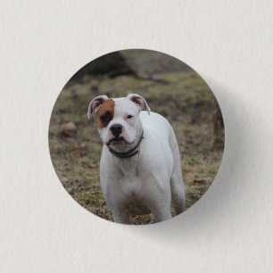 Badge Rond 2,50 Cm Boxer
