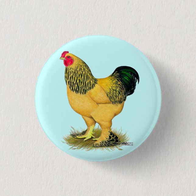 Badge Rond 2,50 Cm Brahma : Rooster Buff (Devant)