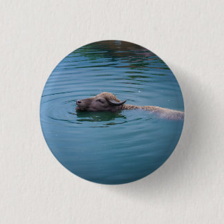Badge Rond 2,50 Cm Buffalo d'eau de natation